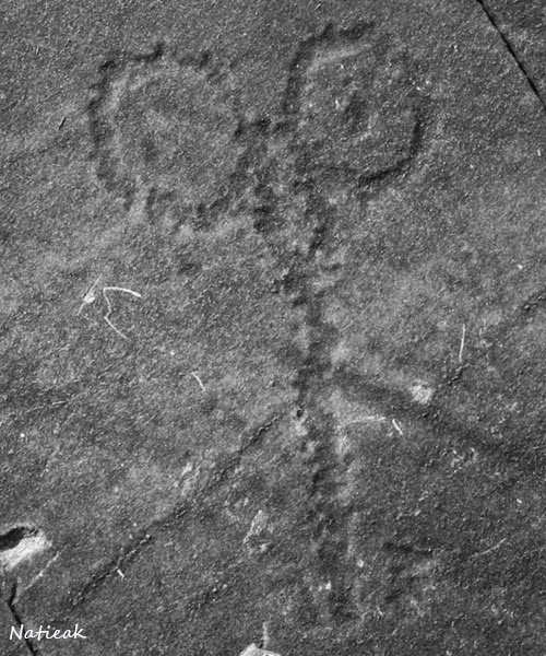 gravures rupestres au Parc Archéologique des Lozes