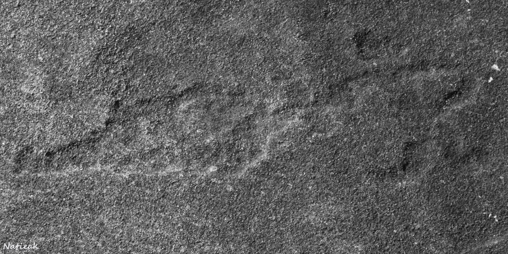 gravures rupestres au Parc Archéologique des Lozes