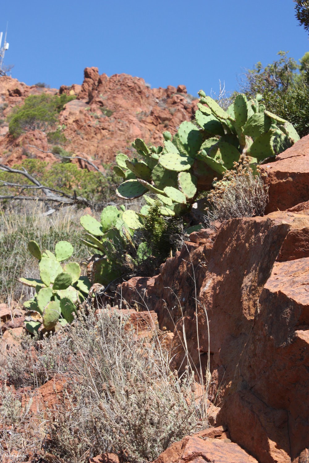 Belvédère de la Batterie
