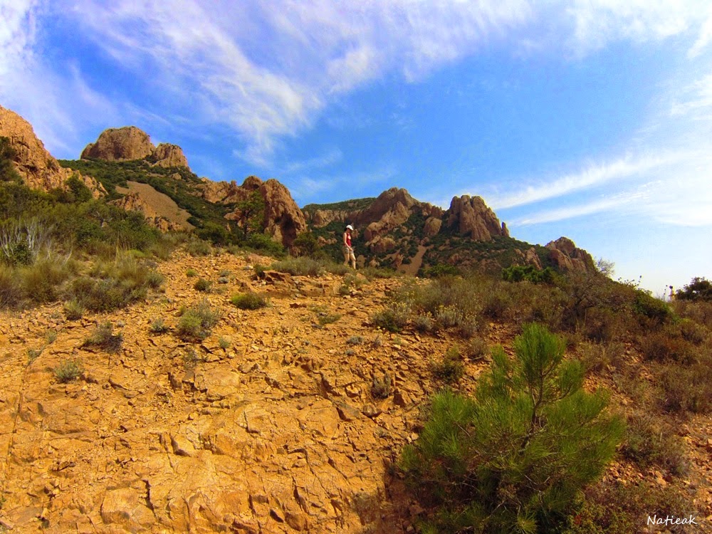 Le pic du Cap roux ( Estérel, Var)