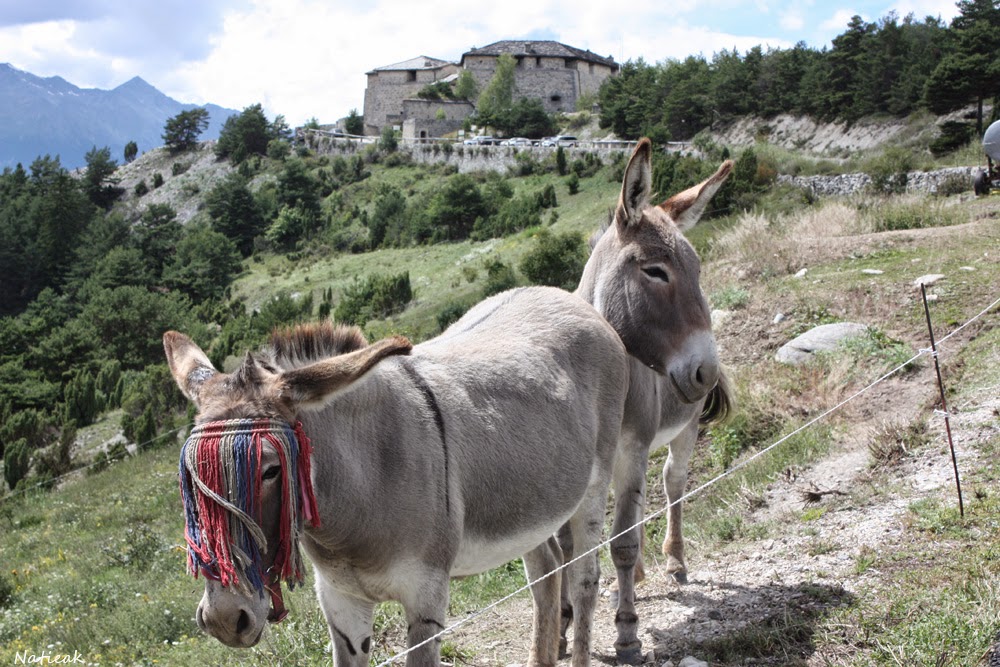 Village Aussois