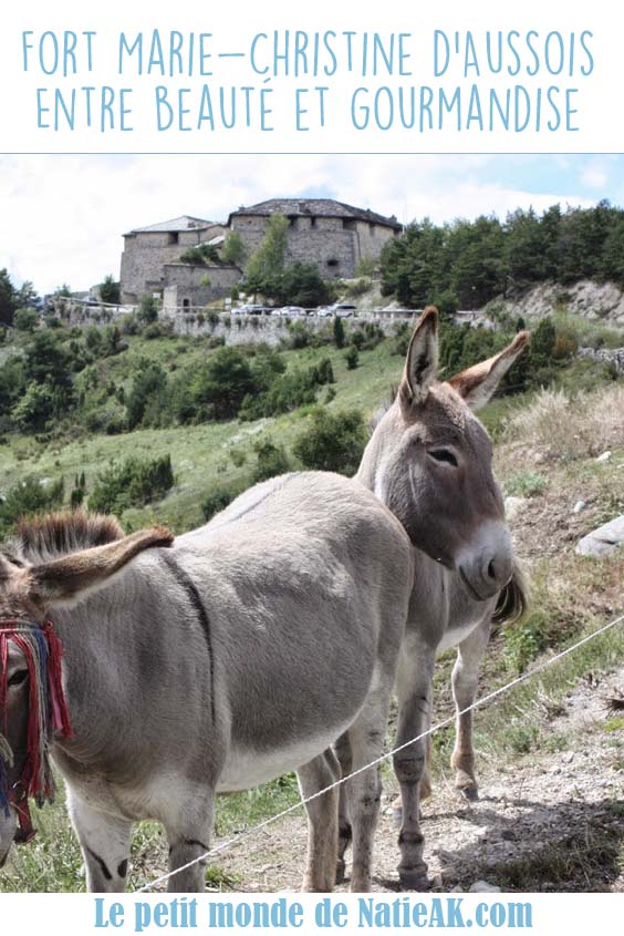 Fort Marie-Christine Savoie