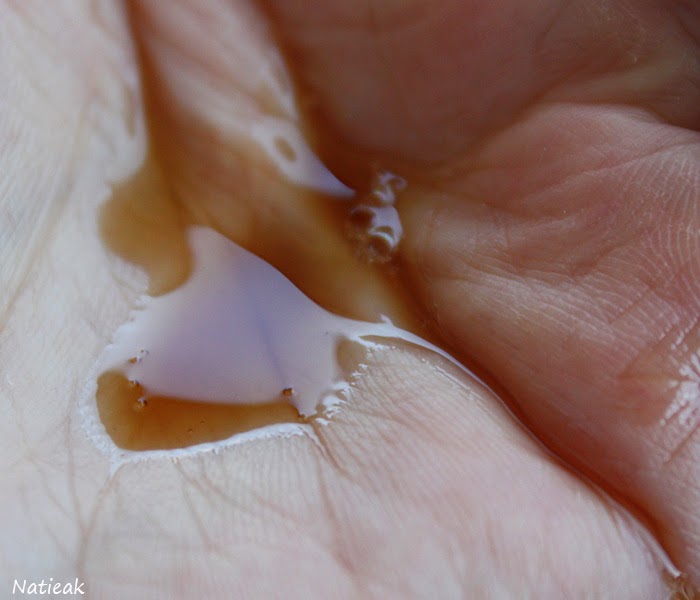 Shampooing Brun indigo végétal de Marcapar