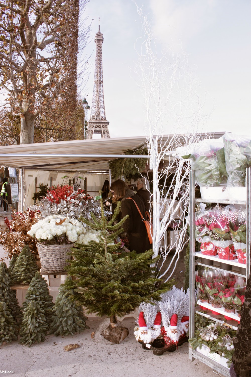 Paris Téléthon 2014 Food Truck party sur le Champs-de-Mars