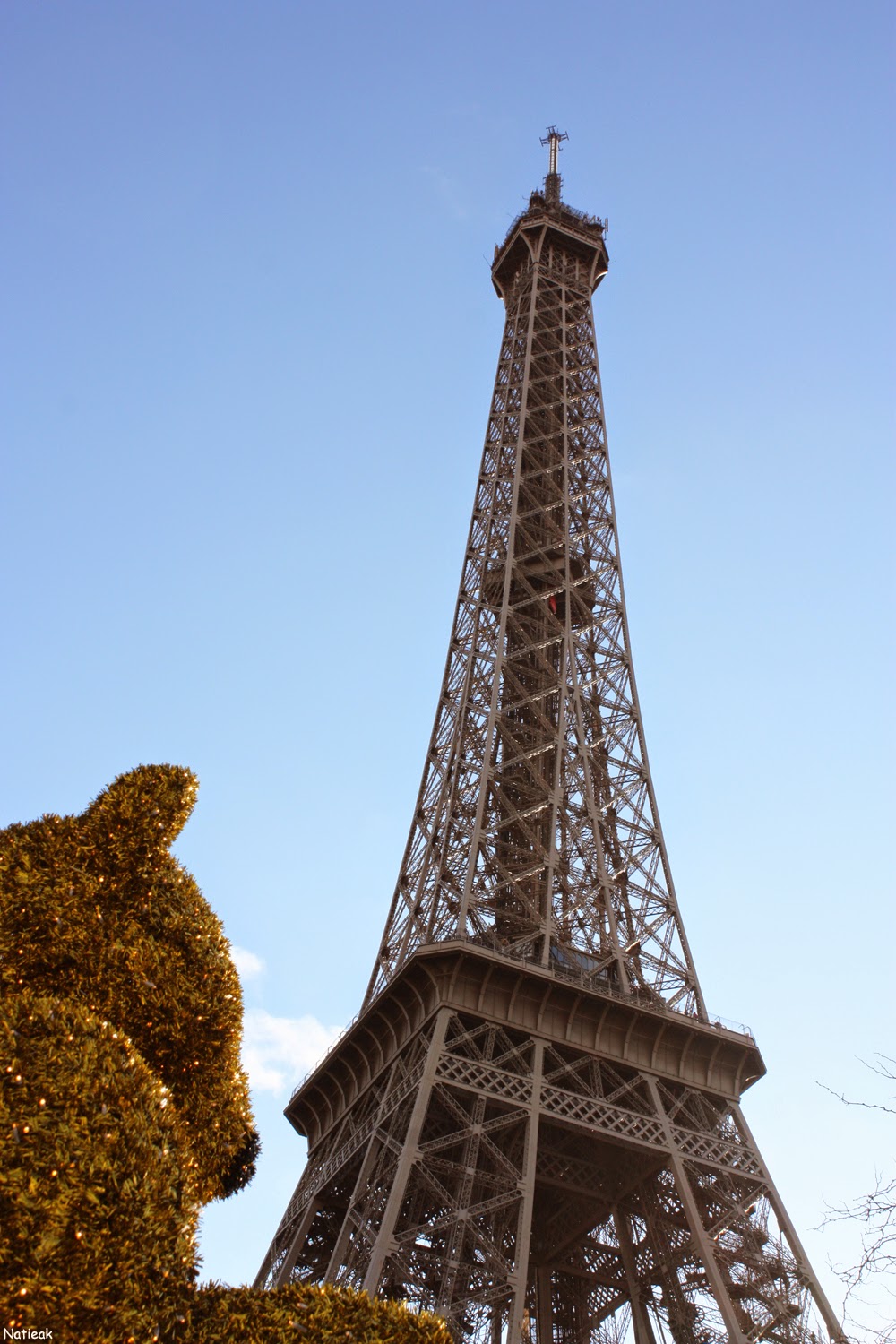 nounours 2014 Le marché du Trocadero