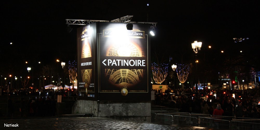 Grand Palais de Paris