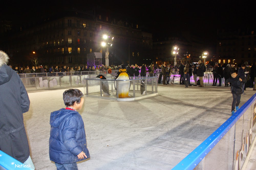 petite patinoire 2014 Hôtel de ville de Paris