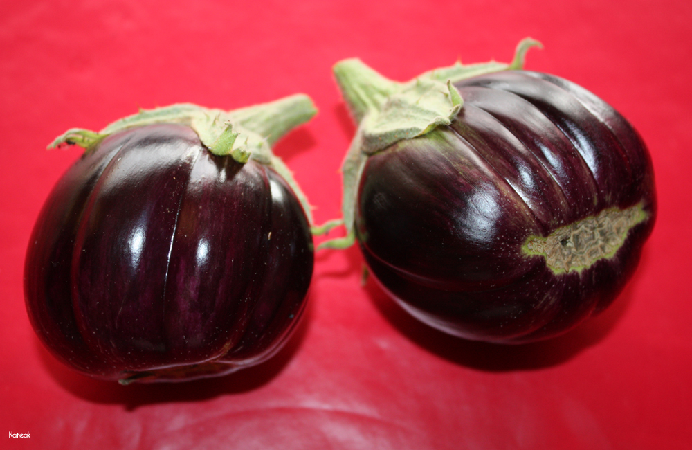 aubergines
