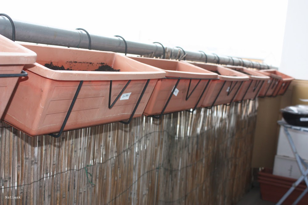 jardinière blacon coffret 52 sachets de graines