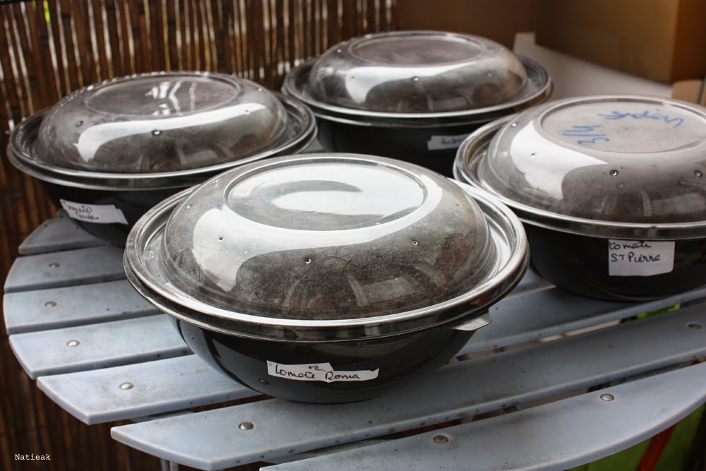 mini serre coffret 52 sachets de graines 