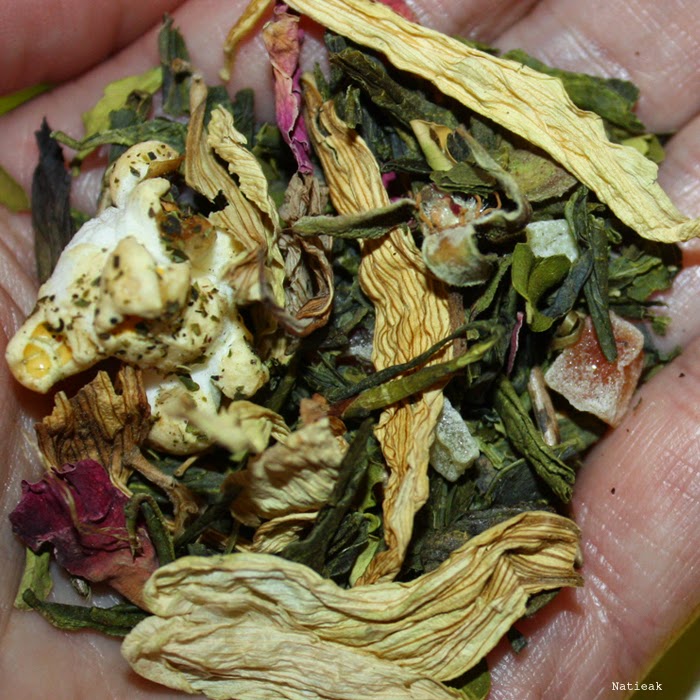 latino mix Envouthé et tekoe