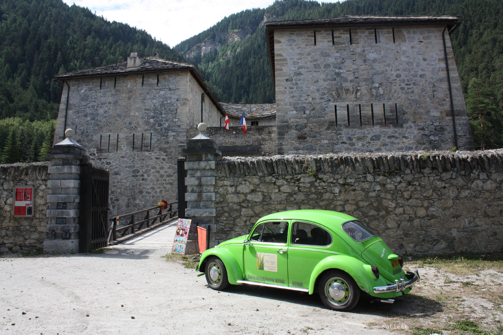Redoute Marie Thérèse et sa coccinelle verte