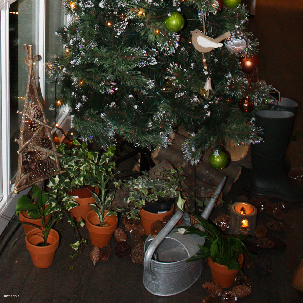 Idées déco Botanic