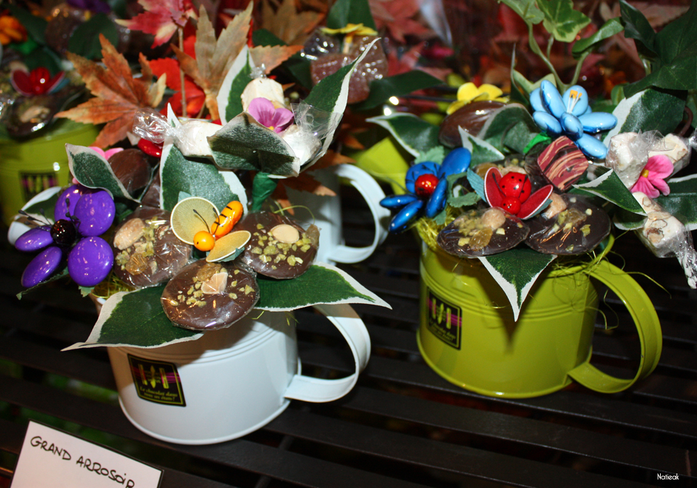 fleurs en chocolat Hors des sentiers battus