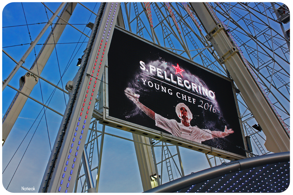 Grande Roue de Paris