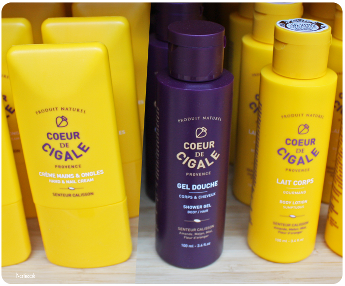 Coeur de cigale Gallinée