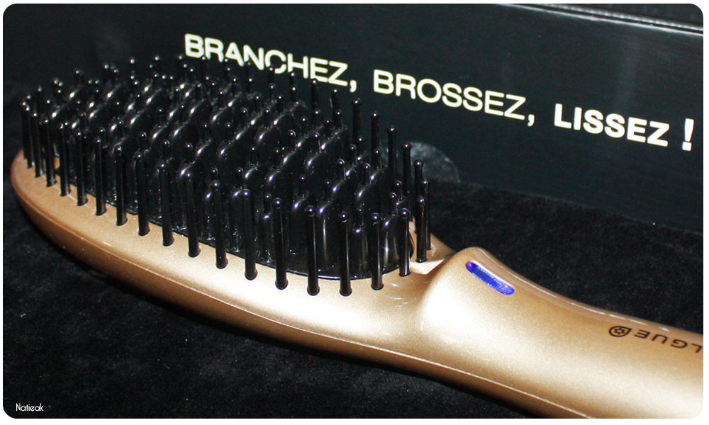 Saint Algue brosse Demeliss Pro