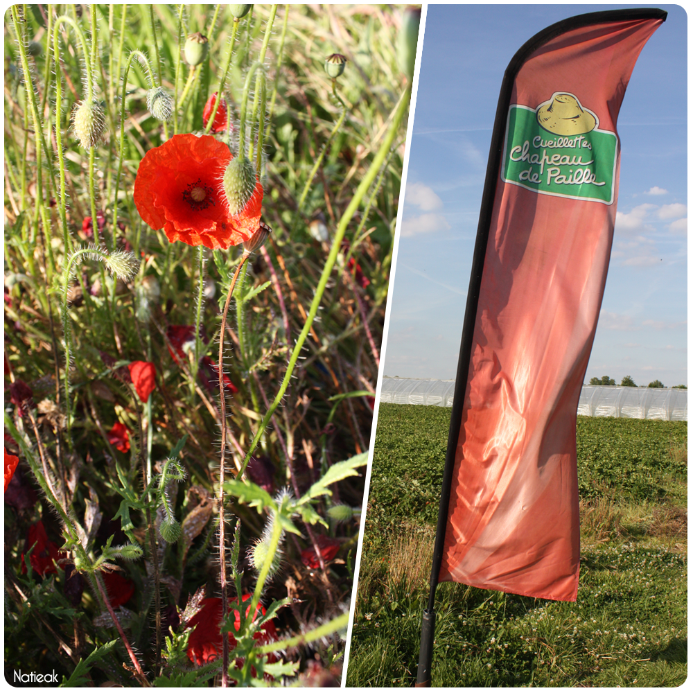 drapeau d'orientation de la ferme de Servigny