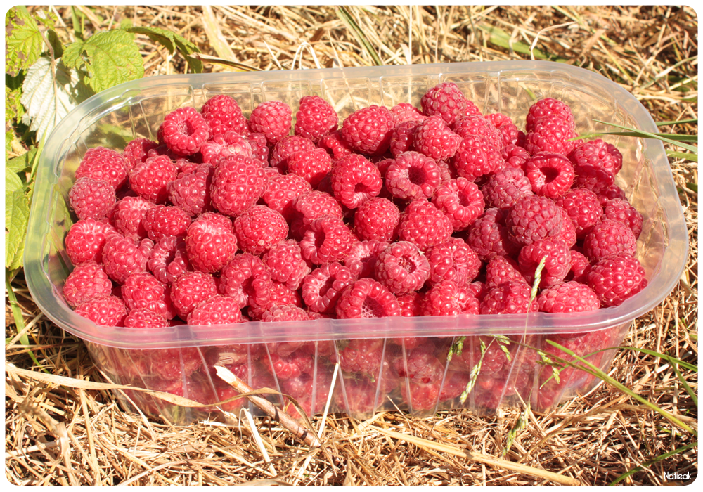 framboises de la ferme de Servigny