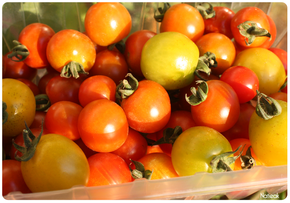 tomates cerise de la ferme de Servigny