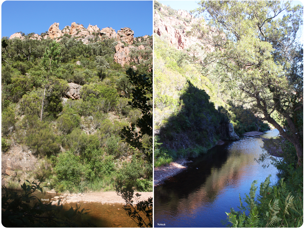 rivière au ravin de Mal Infernet randonnée dans le massif de l'Esterel