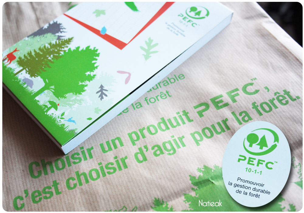 DIY déco Noël écoresponsable