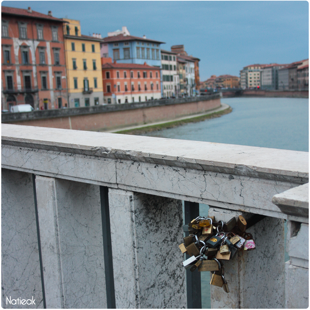 fleuve Arno Pise florance Italie