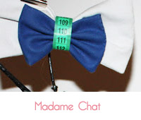 noeud papillon recyclé