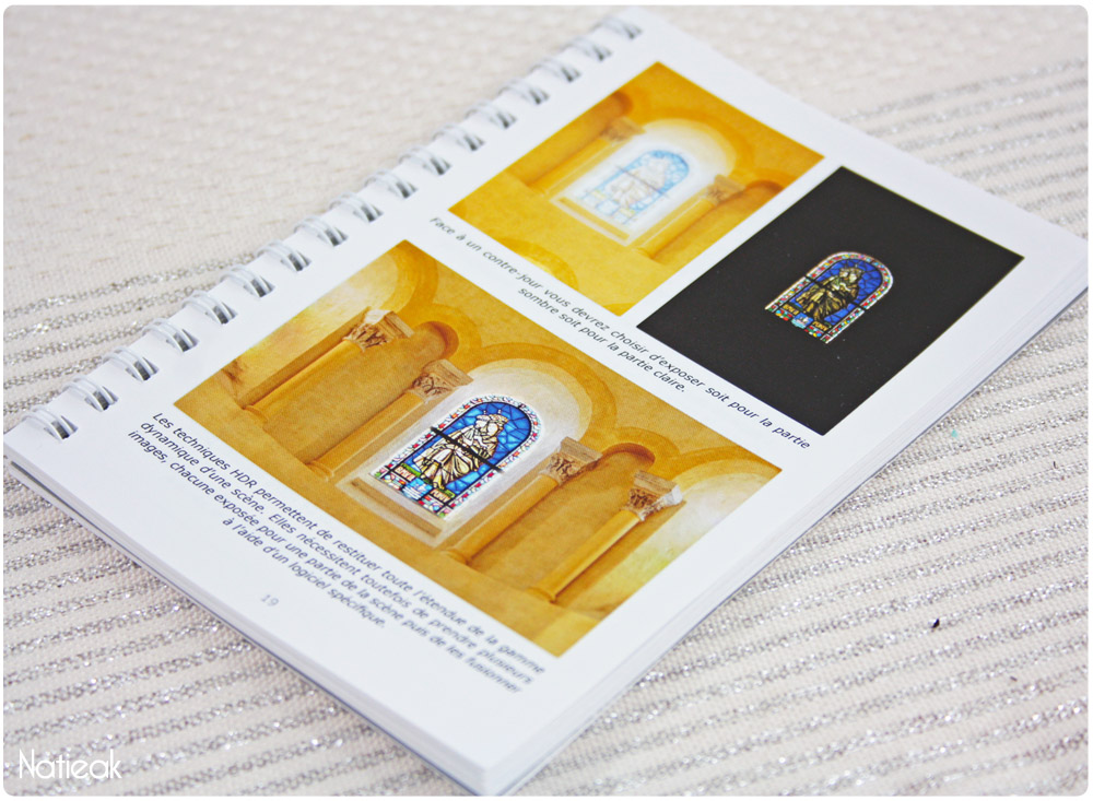 livre Jérôme Pallé