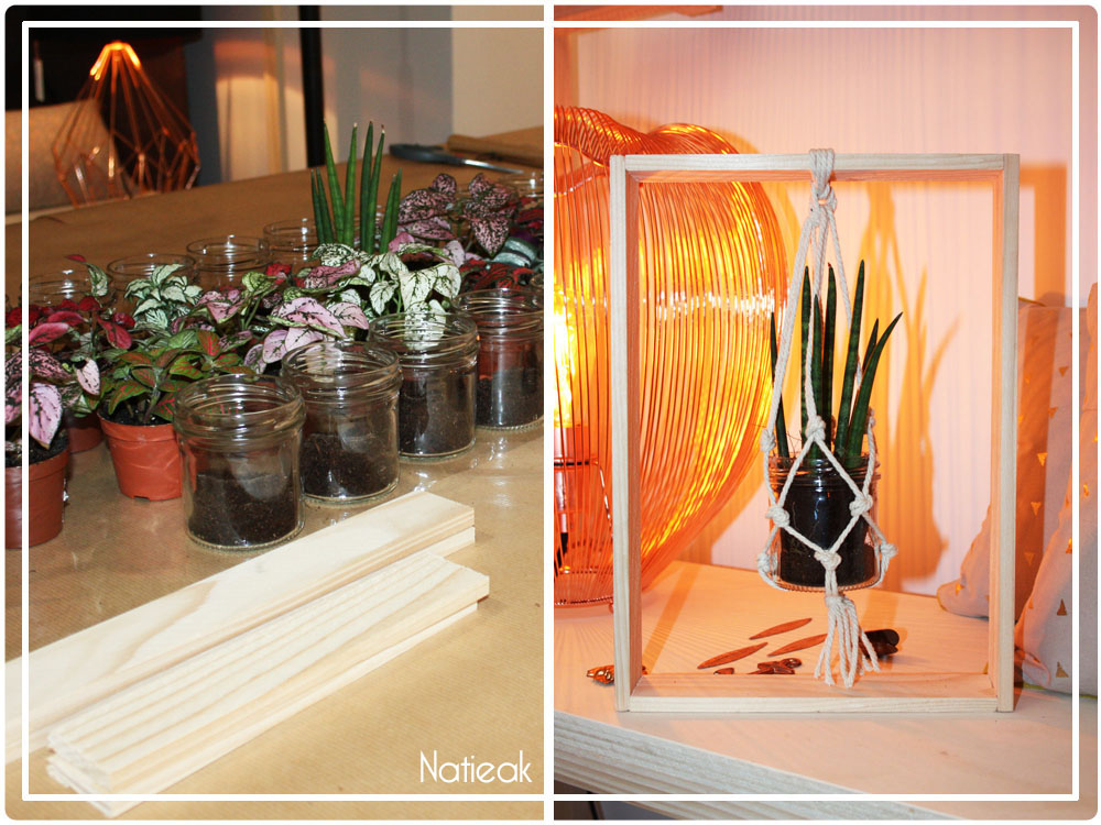 cadre suspension pour plante végétale