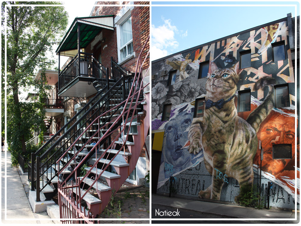 Où se trouve la ville de Montréal ?