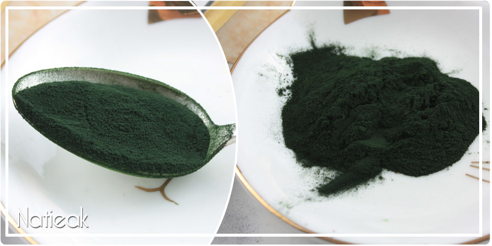Caroline incroyable spiruline Vegalia