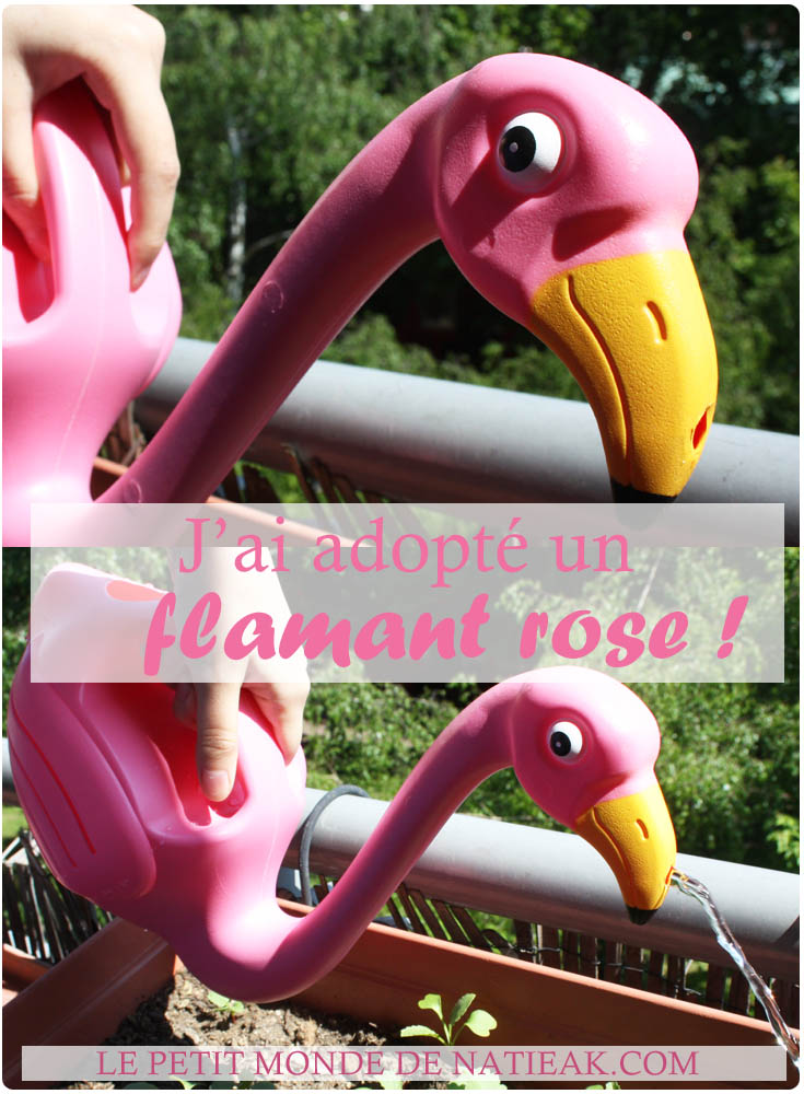 Un arrosoir Flamant rose