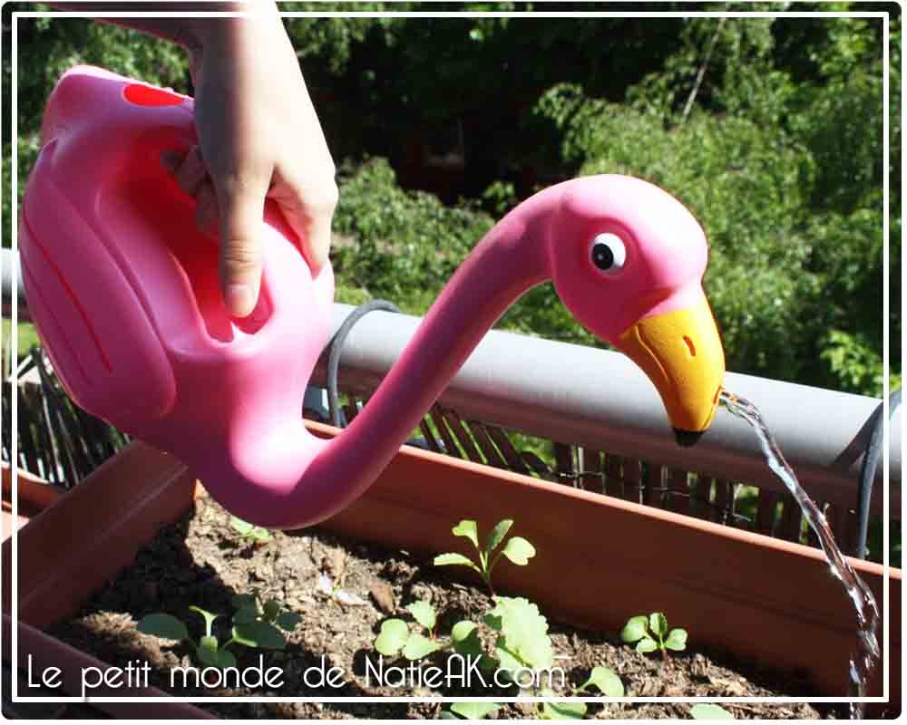 Coolgift - gadgets et idées cadeaux