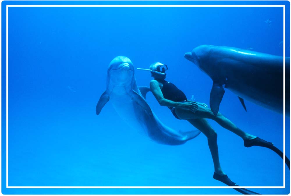 La vraie histoire de Jacques Mayol