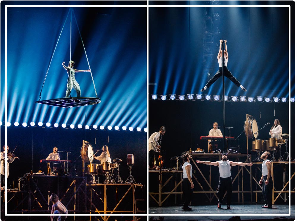 cirque alfonse une affaire de famille