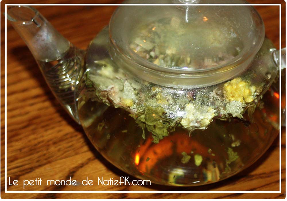 Tisanes Anne Ménoret