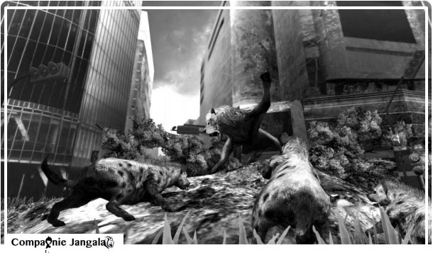 Dans la jungle des villes de la compagnie Jangala