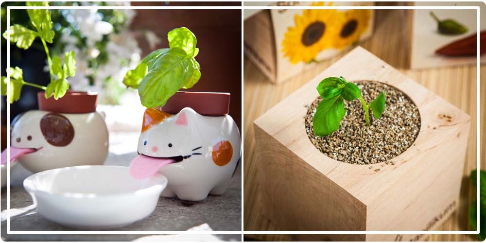 Idées cadeaux originales pour femme