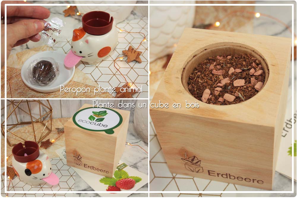 Peropon chat et Ecocube Cadeaux Folies 