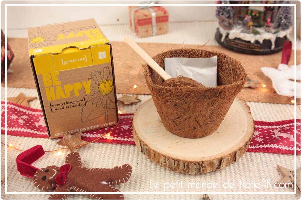kit de plantation Tournesol Be happy Idée Cadeau