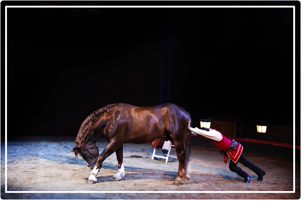 tableau comique cirque équestre Origines d'Alexis Gruss