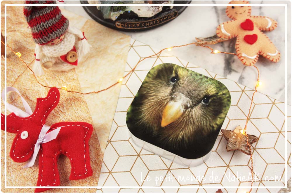 Kakapo de Nouvel Zélande