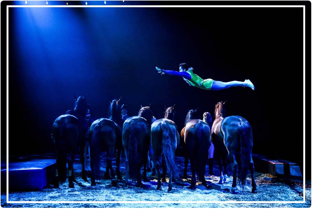 voltige équestre Origines d'Alexis Gruss avec Romuald Bruneau