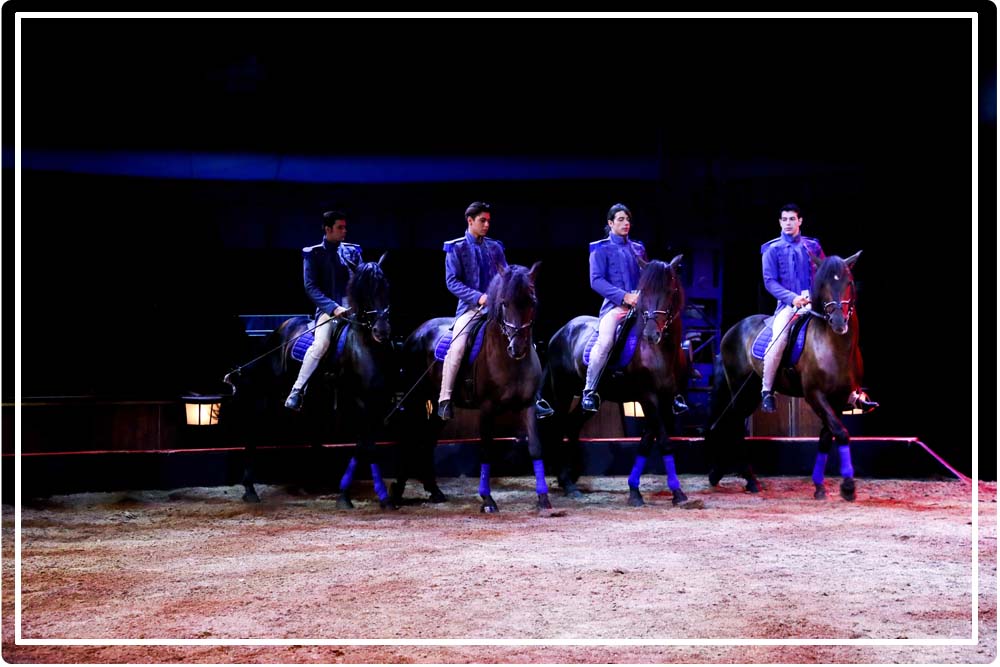spectacle de cheveux "Origines" d'Alexis Gruss
