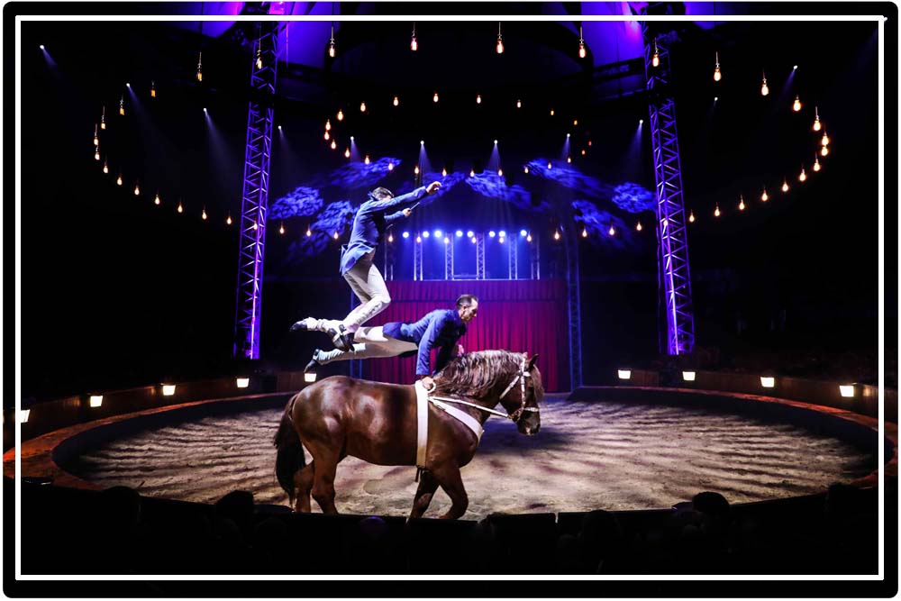 L'histoire du cirque équestre en spectacle avec Alexis Gruss
