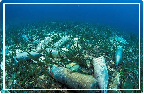 solution contre la pollution plastique