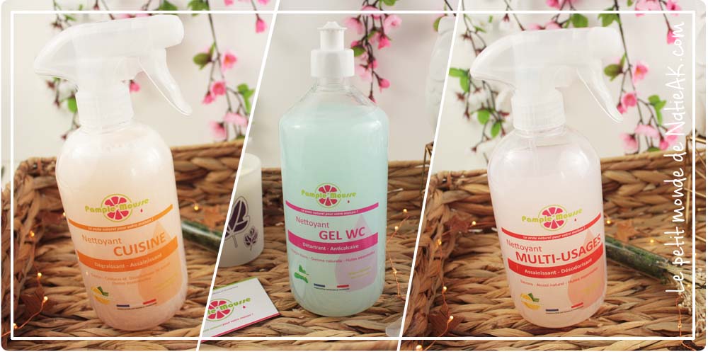 produit d''entretien écologique maison