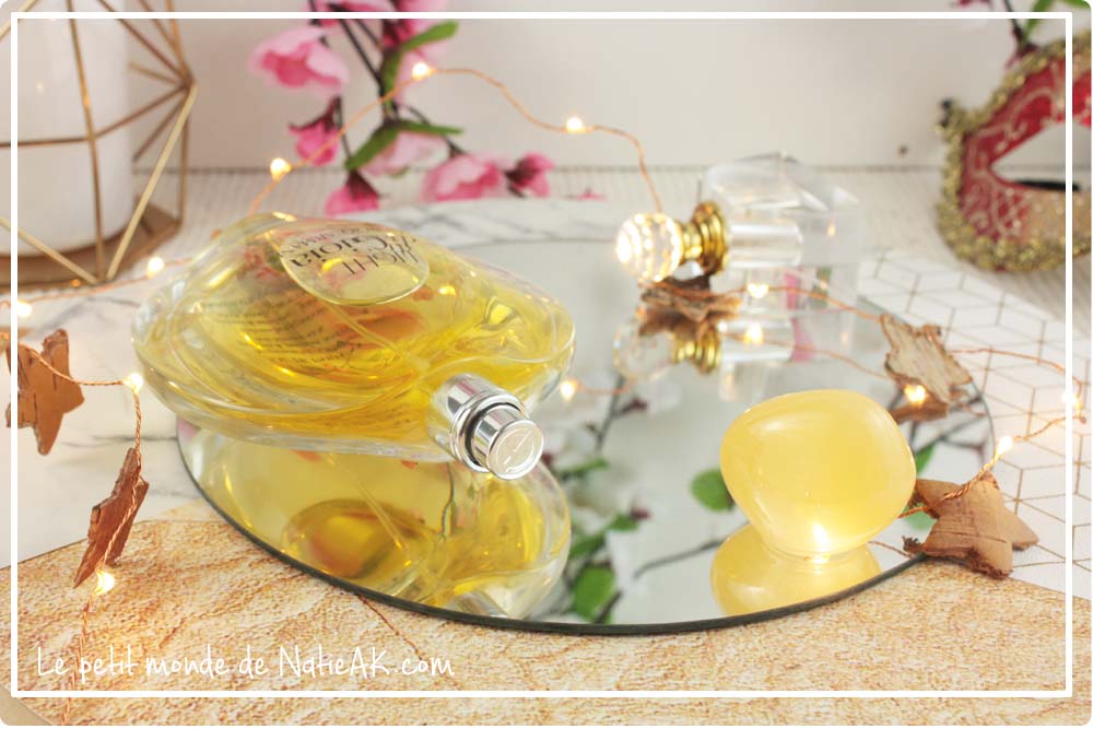 pierre précieuse de citrine polie