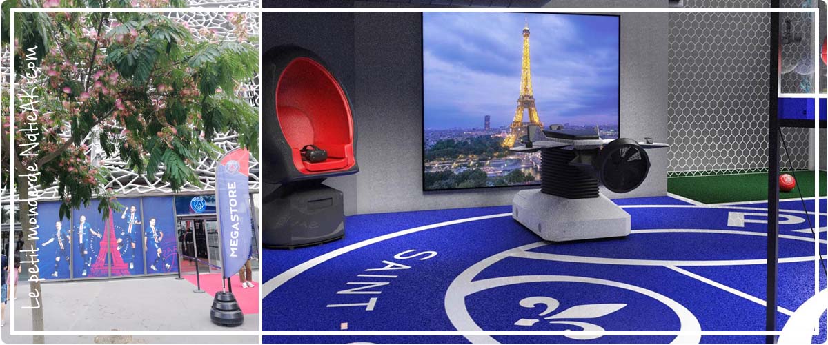 Parc des princes PSG Expérience